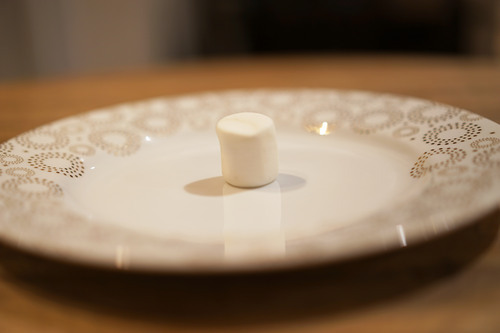 Image for The Stanford Marshmallow Prison Experiment
